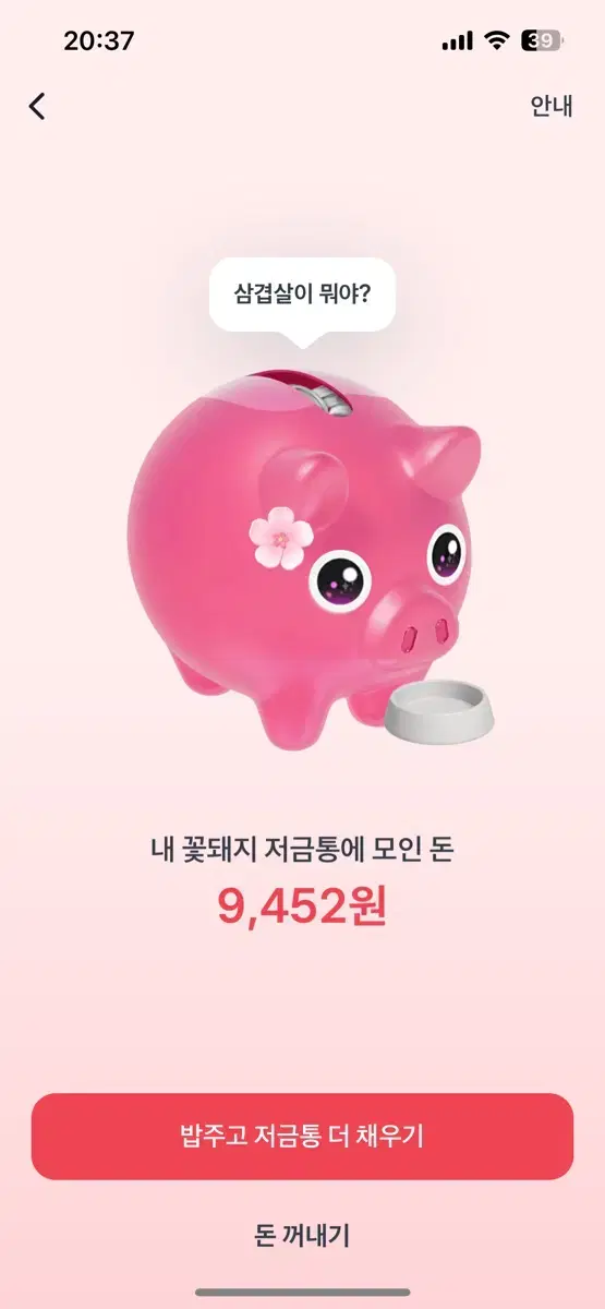 토스 꽃돼지